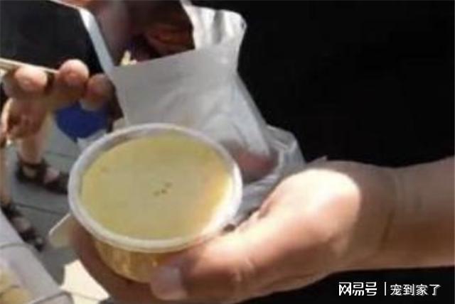 J9九游会 九游会J98旬爷爷卖300年前“宫廷雪糕”：慈禧饭后必吃冰点想找传人(图4)