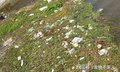 J9九游会 九游会J9吃一次等于吃8个塑料袋很多家长却经常喂给孩子吃(图3)