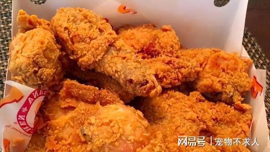 J9九游会 九游会J9吃一次等于吃8个塑料袋很多家长却经常喂给孩子吃(图8)