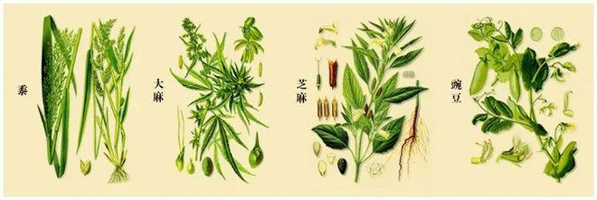 九游会J9 J9九游会古代糕点文化百科(图2)