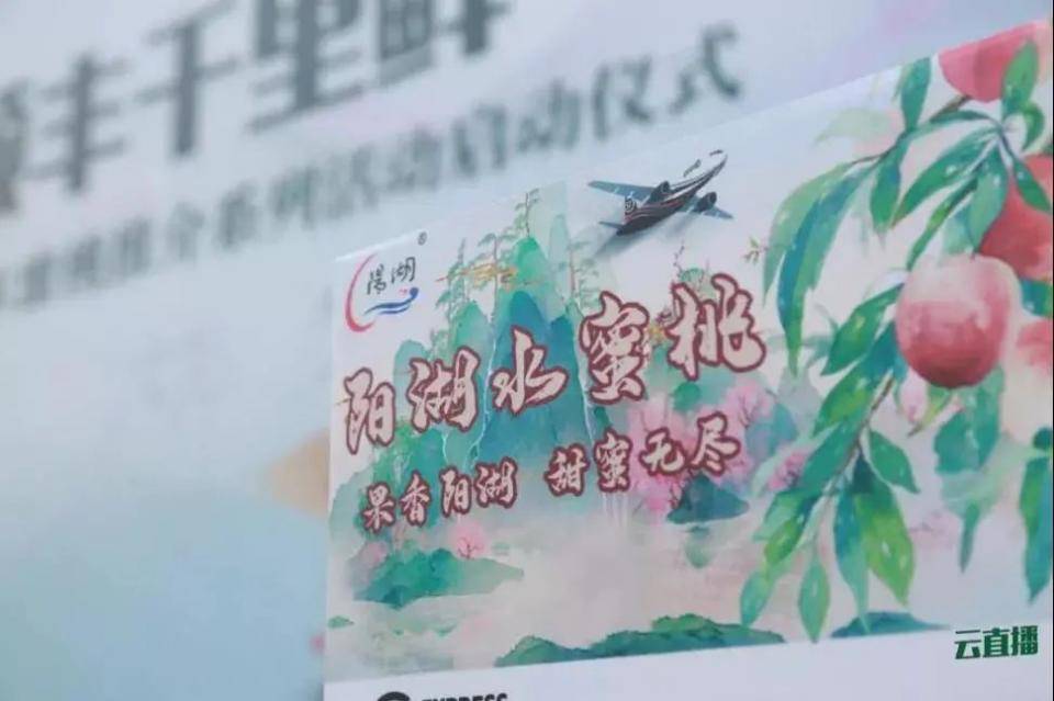 J9九游会 九游会J9水蜜桃、翠冠梨、葡萄快来尝尝夏天有多甜！(图13)